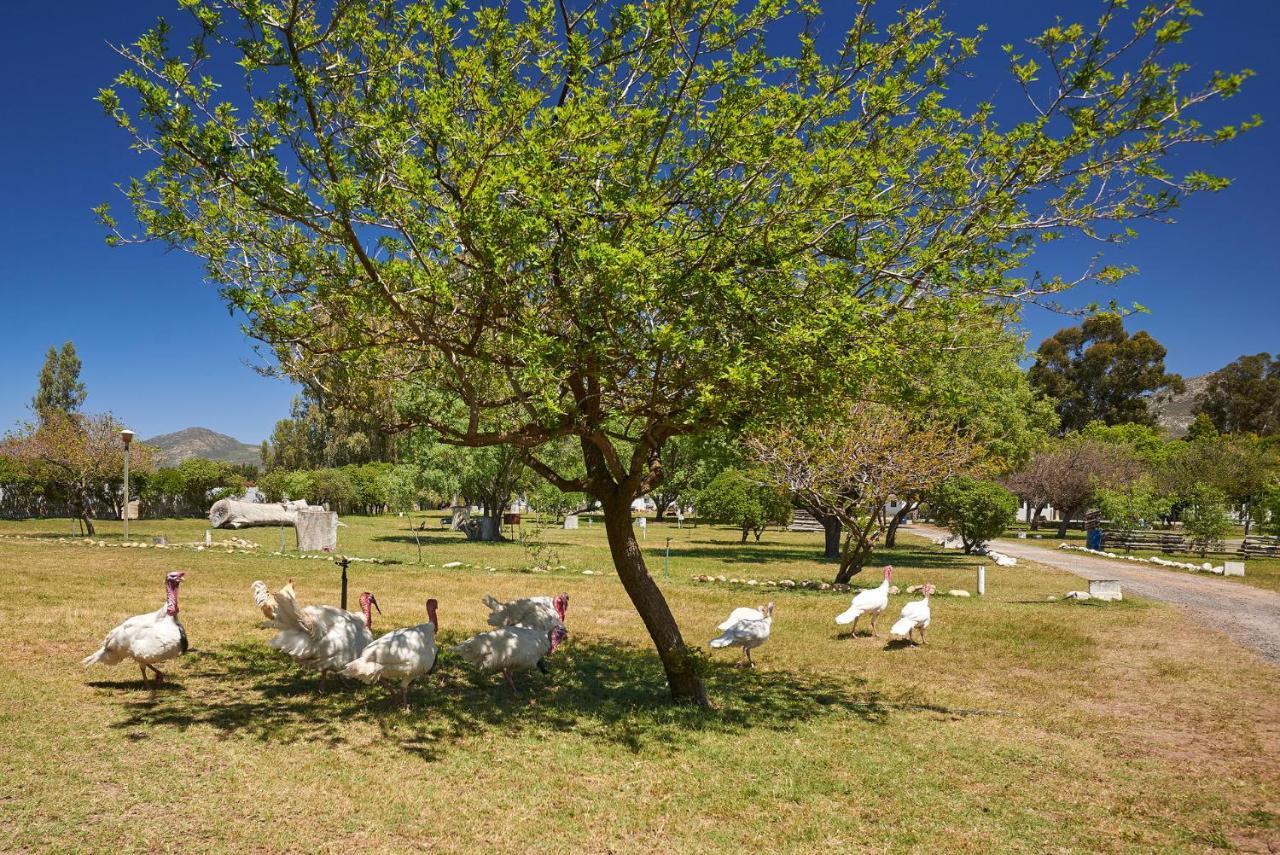 Citrus Creek Chalets Citrusdal Εξωτερικό φωτογραφία